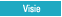 Visie